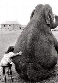 Олеся Бедарева