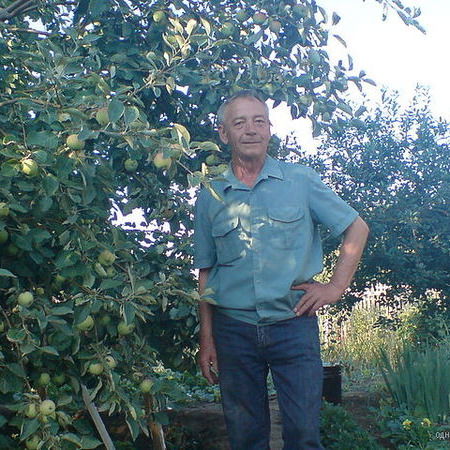 Александр Дмитриев