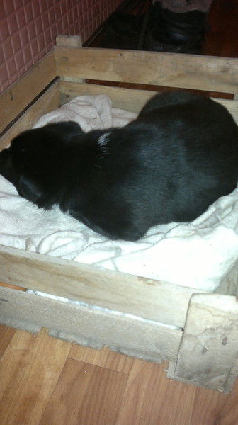 Андрей Шашкин