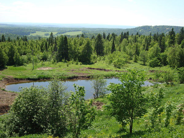 Дмитрий Лихачев