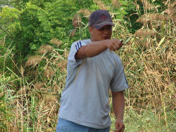 Александр Овчаренко