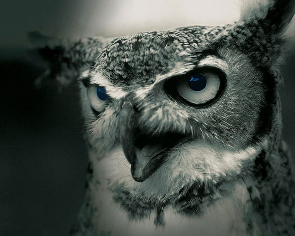 Леся Кротова