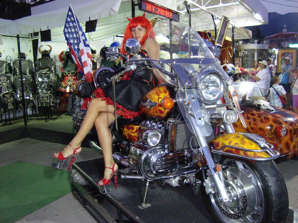 Елена Землянская