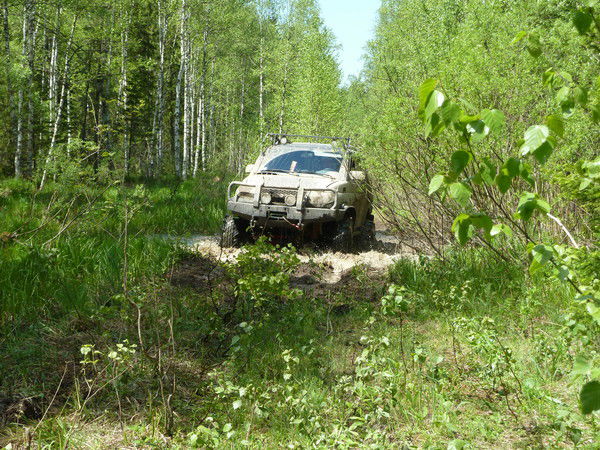 Константин Вильмс