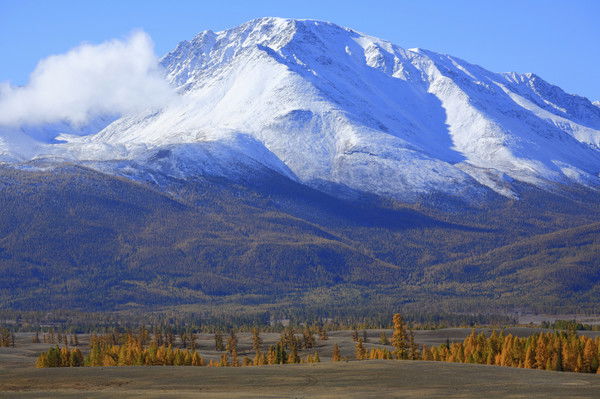 Айдар Багаутдинов