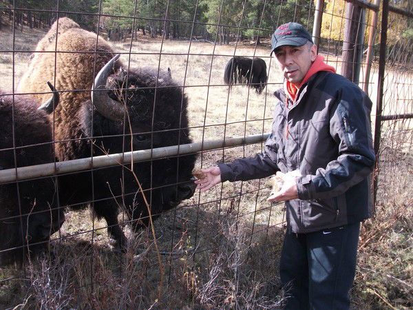 Габик Шамов