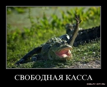 Александр Мухай