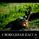 Александр Мухай