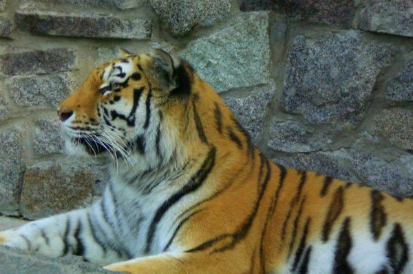 Вадим Селезнёв