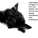 Алексей Алексеевич