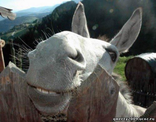 Степа Неверов