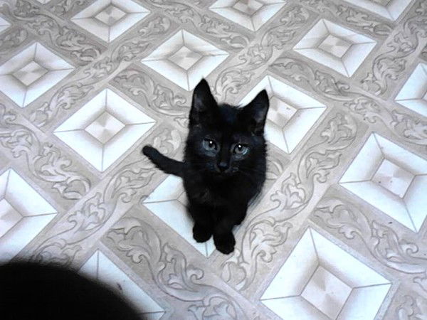 Ренат Абдуллин