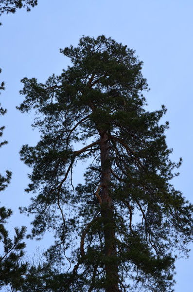 Лилия Имангулова