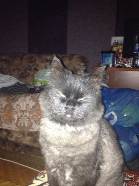 Ильдар Люкманов