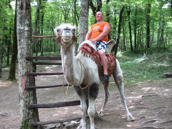 Алексей Курик