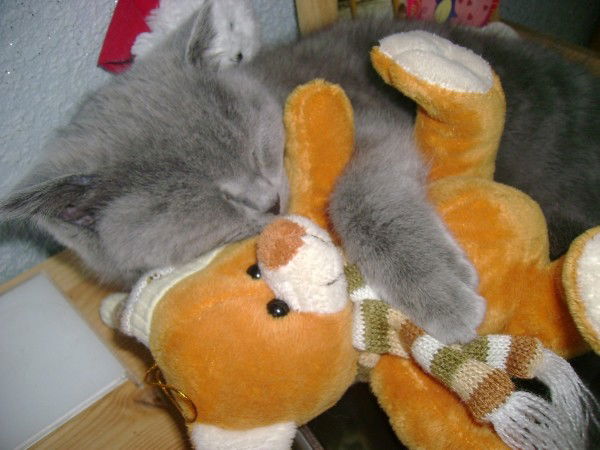 Розалия Булатова