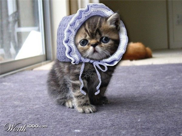 Альбина Ягафарова