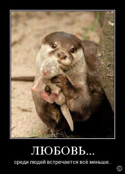 Рязанцев Евгений