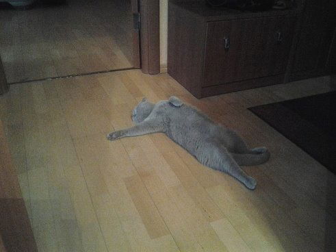 Анна Калинина