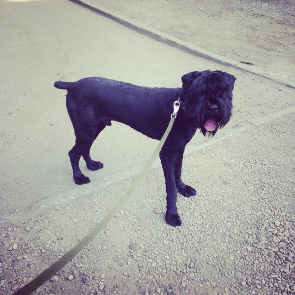 Оля Виноградова