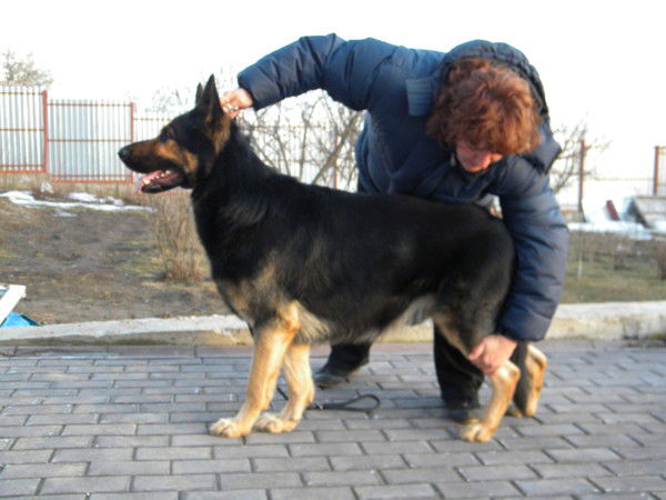 Лена Монина