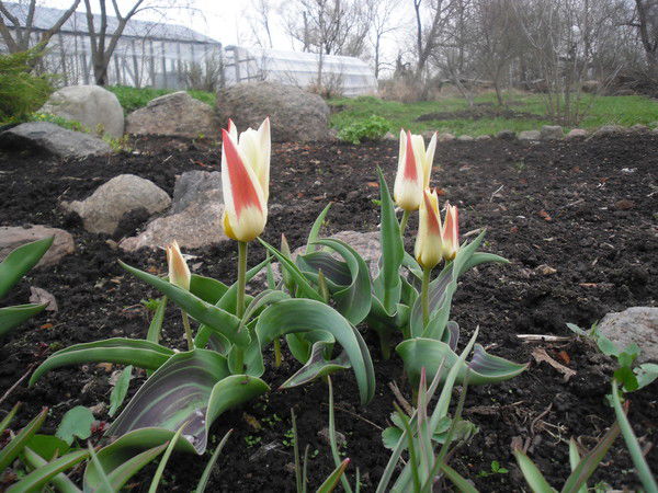 Надежда Андреева