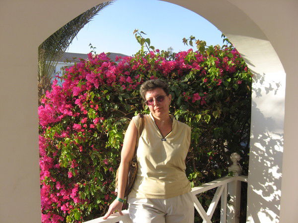 Игорь Снарев