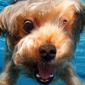 Ирина Хисамова