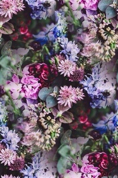 Сауле Зинет