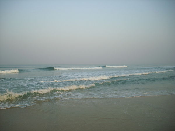 Марина Никитина