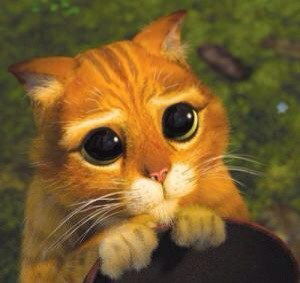 Анько Анько