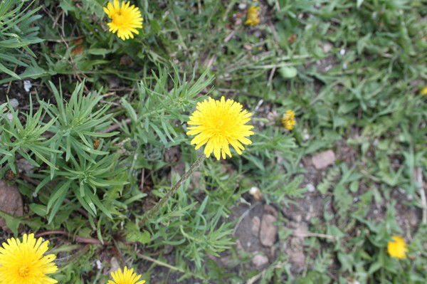 Школа Казанская