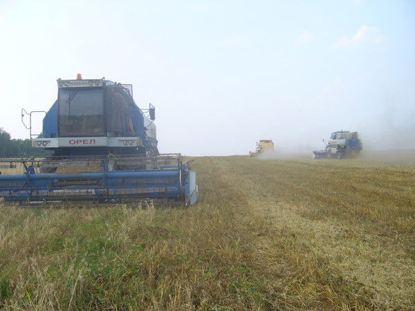 Ооо "экспресс" Агрофирма