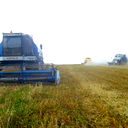 Ооо "экспресс" Агрофирма