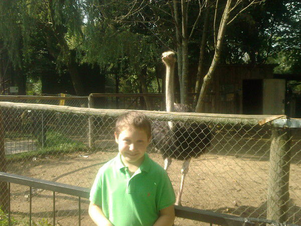 Кирилл Тябут