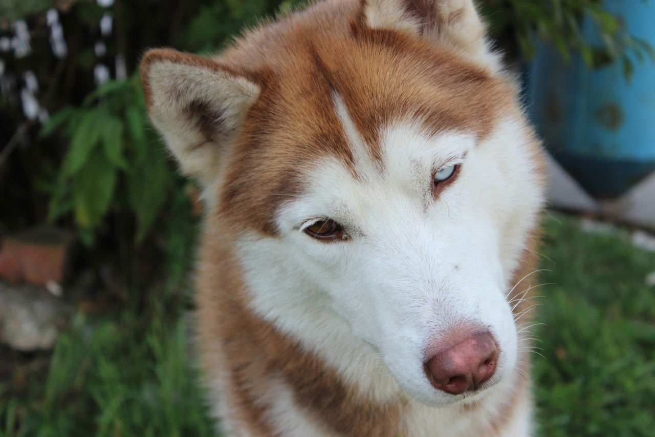 Оксана Данюк