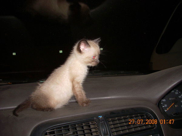 Вадим Иванов