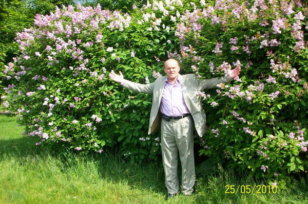 Николай Андронюк