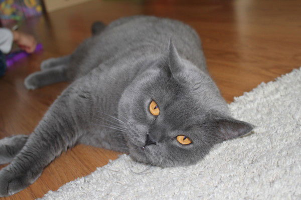 Ольга Бельская