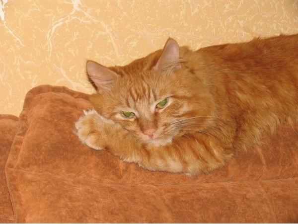 Сергей Чернышев