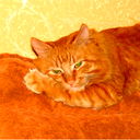 Сергей Чернышев