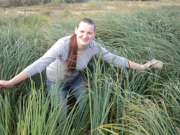 Светлана Аллахвердиева