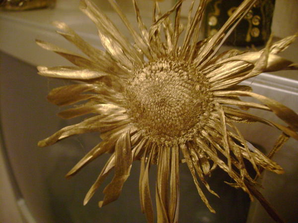 Лена Слободянюк