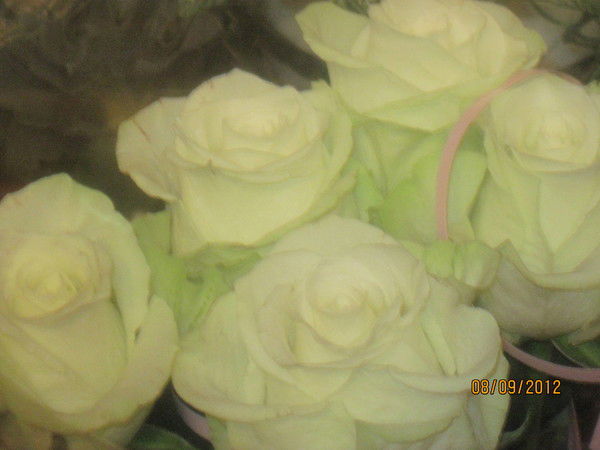 Алевтина Олина