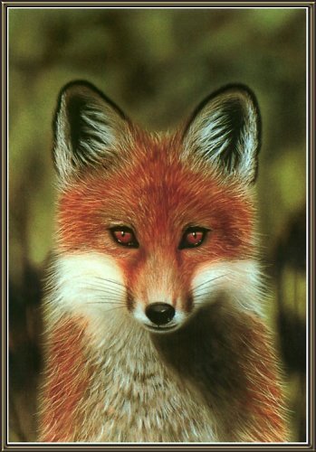 Елена Чубуткина