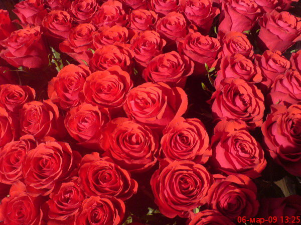 Гуля Джалилова