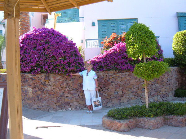 Светлана Неверова