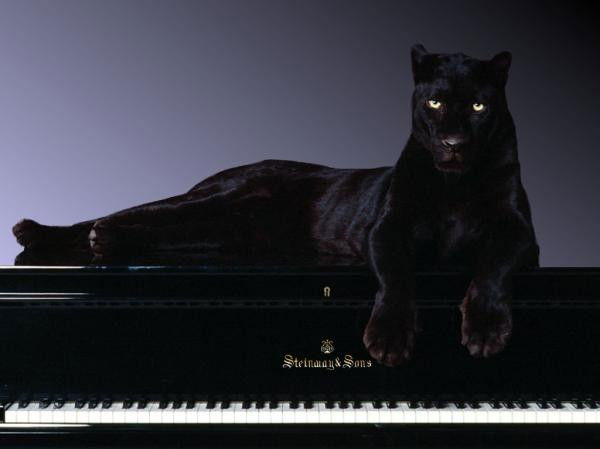 Ольга Семёнова