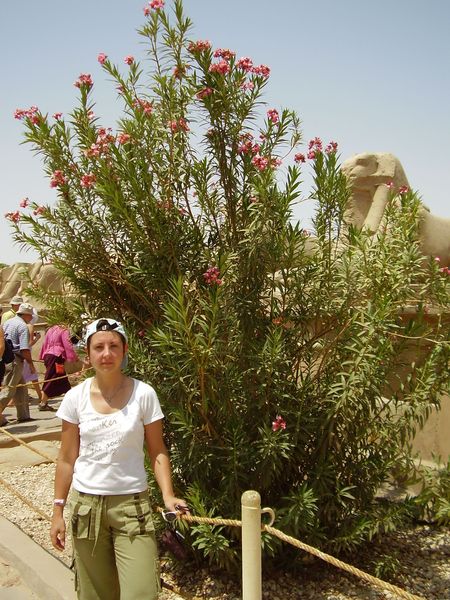 Антонина Фурковская