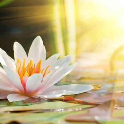 Анна Чвертко